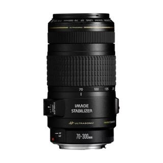 Canon EF 70-300mm 1:4,0-5,6 L IS USM